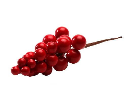 Artificial - Berry Pick- Red
