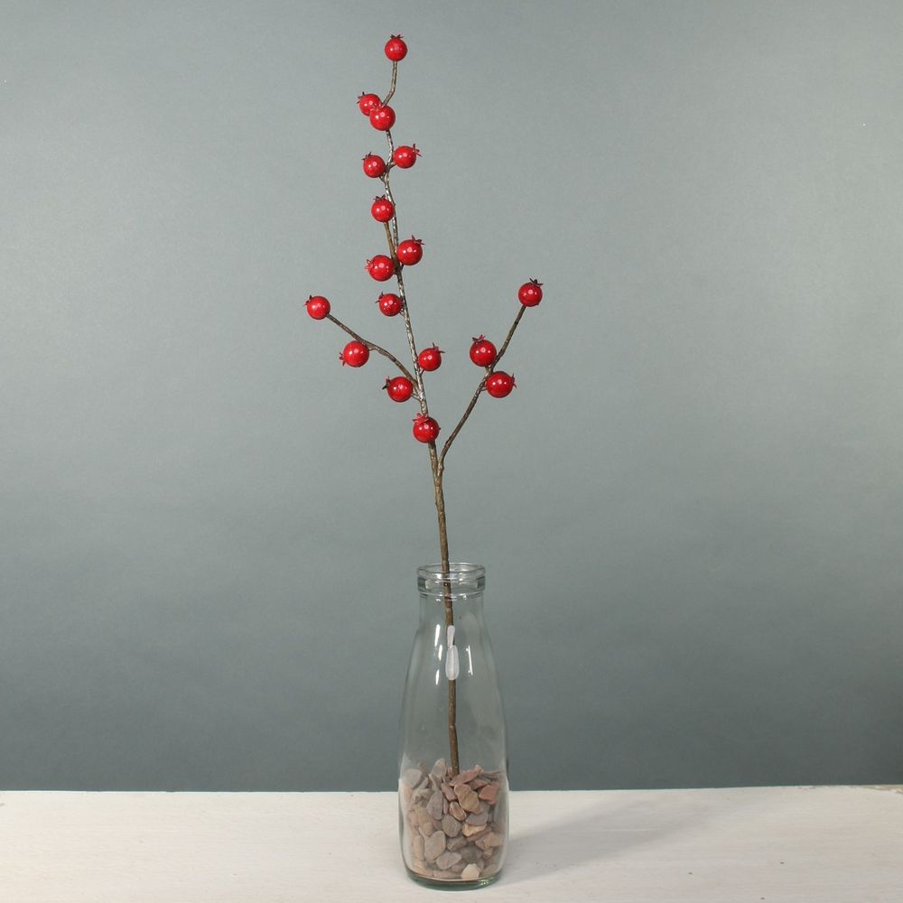 Artificial - Rose Hip